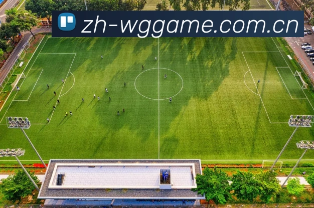 WG电子游戏App